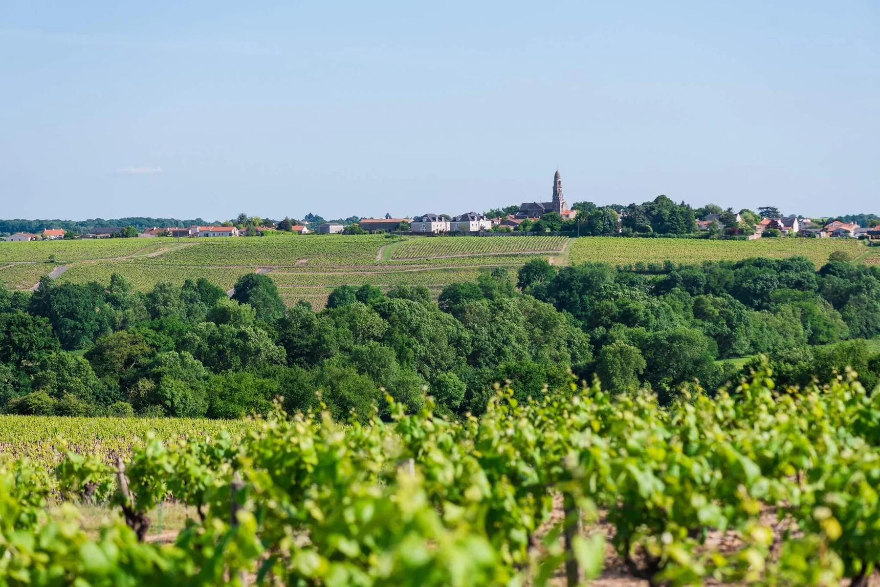 Vue de Saint-Fiacre et de ses coteaux plantés de vignes